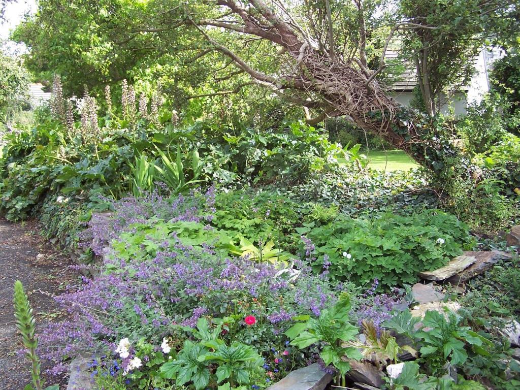Bed and Breakfast The Old Parsonage Boscastle Exterior foto