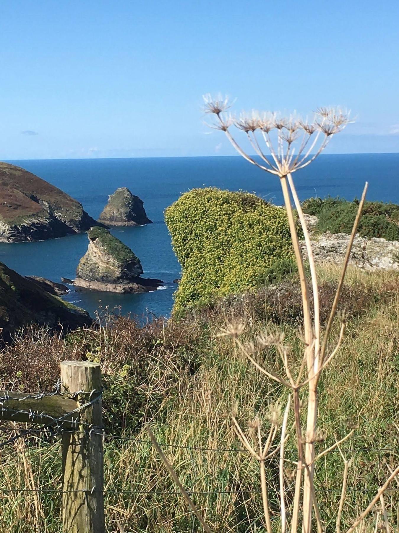 Bed and Breakfast The Old Parsonage Boscastle Exterior foto